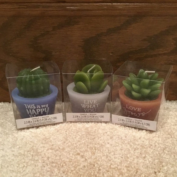Other - Decorative Succulent Candles (Bundle of 3)